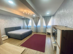 Apartament Vatra Dornei